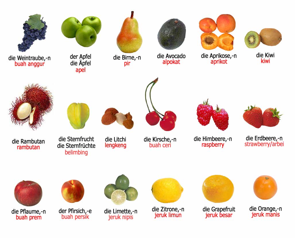 Das Obst – Buah buahan  Bahasa Jerman