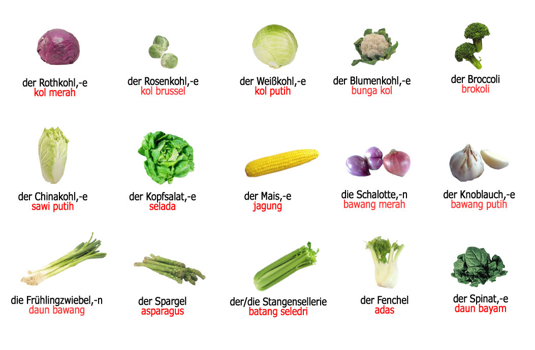 Das Gemuse 2 Sayur Sayuran Bahasa Jerman